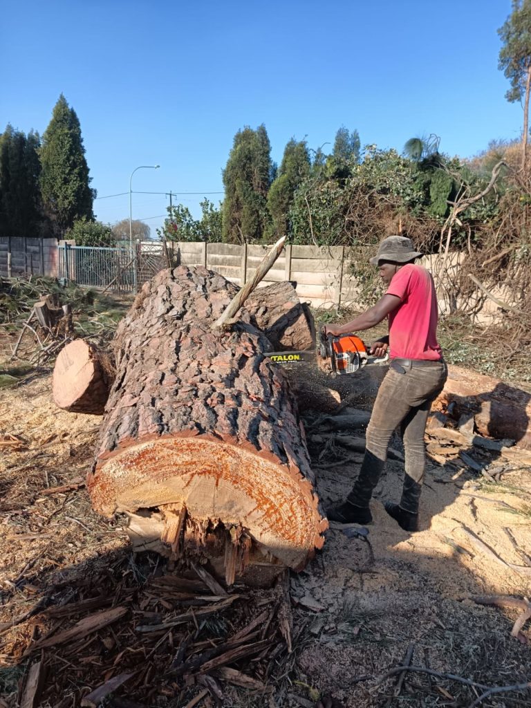 Our Work in Action